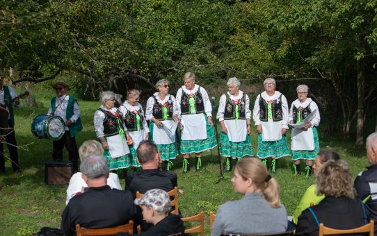 Dzień poławiaczy jabłek
