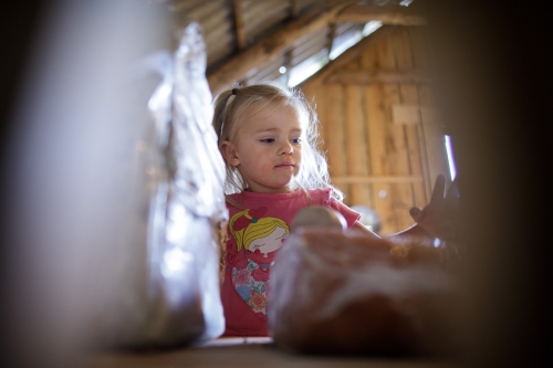  MG 7818